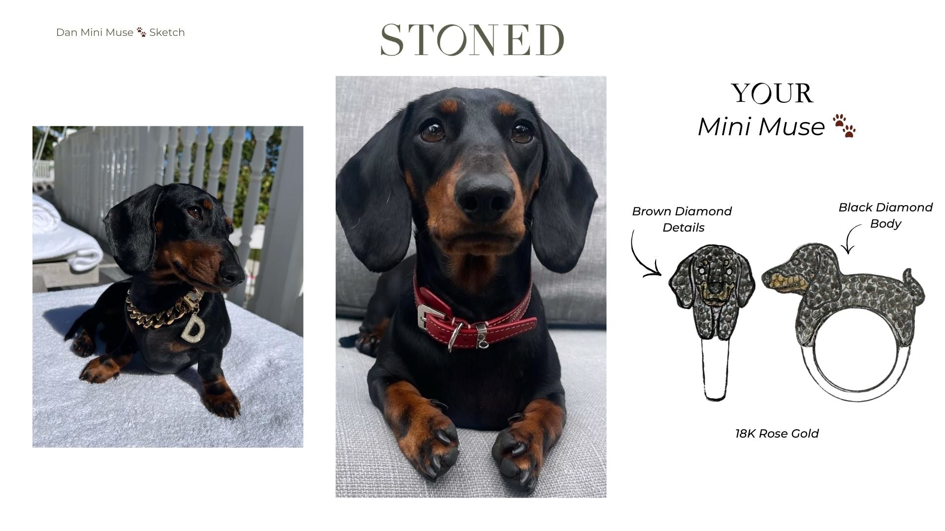 Custom Dan Dachshund Mini Muse