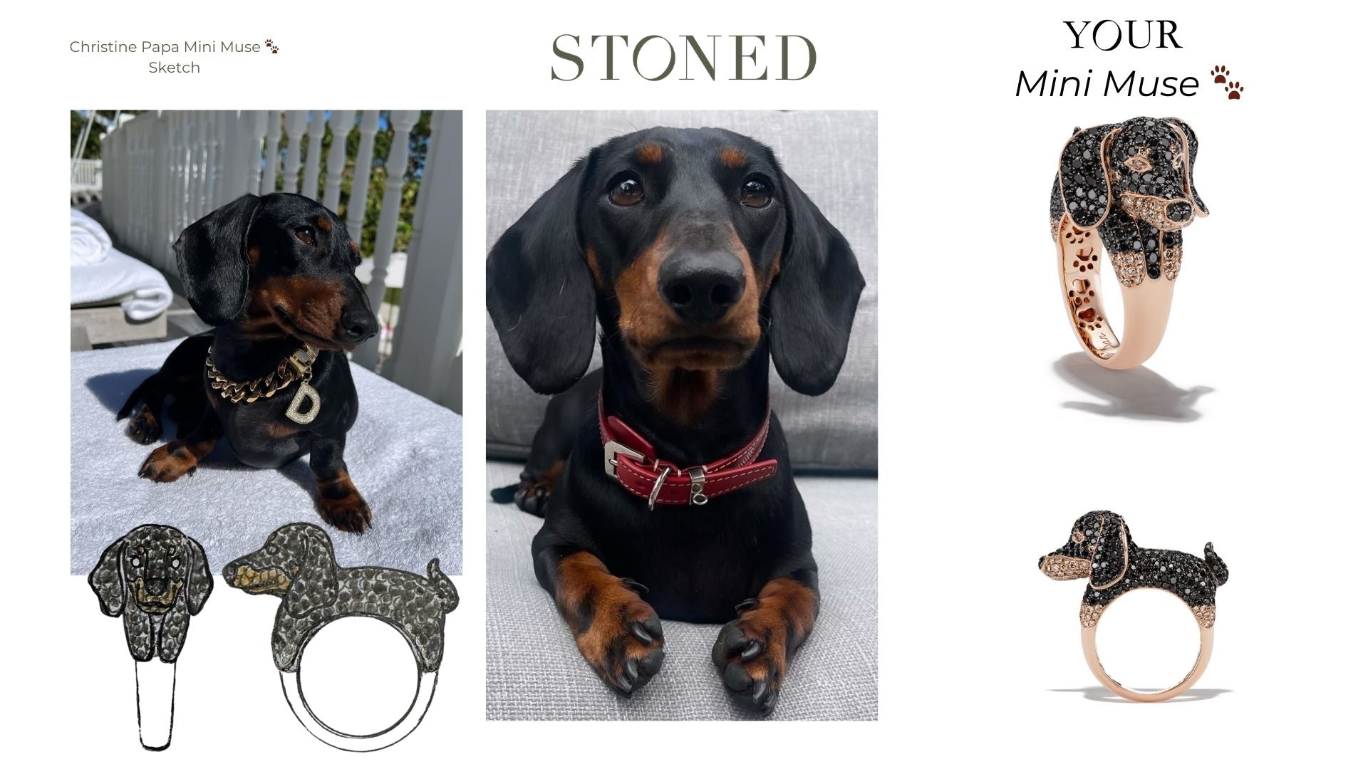 Custom Dan Dachshund Mini Muse