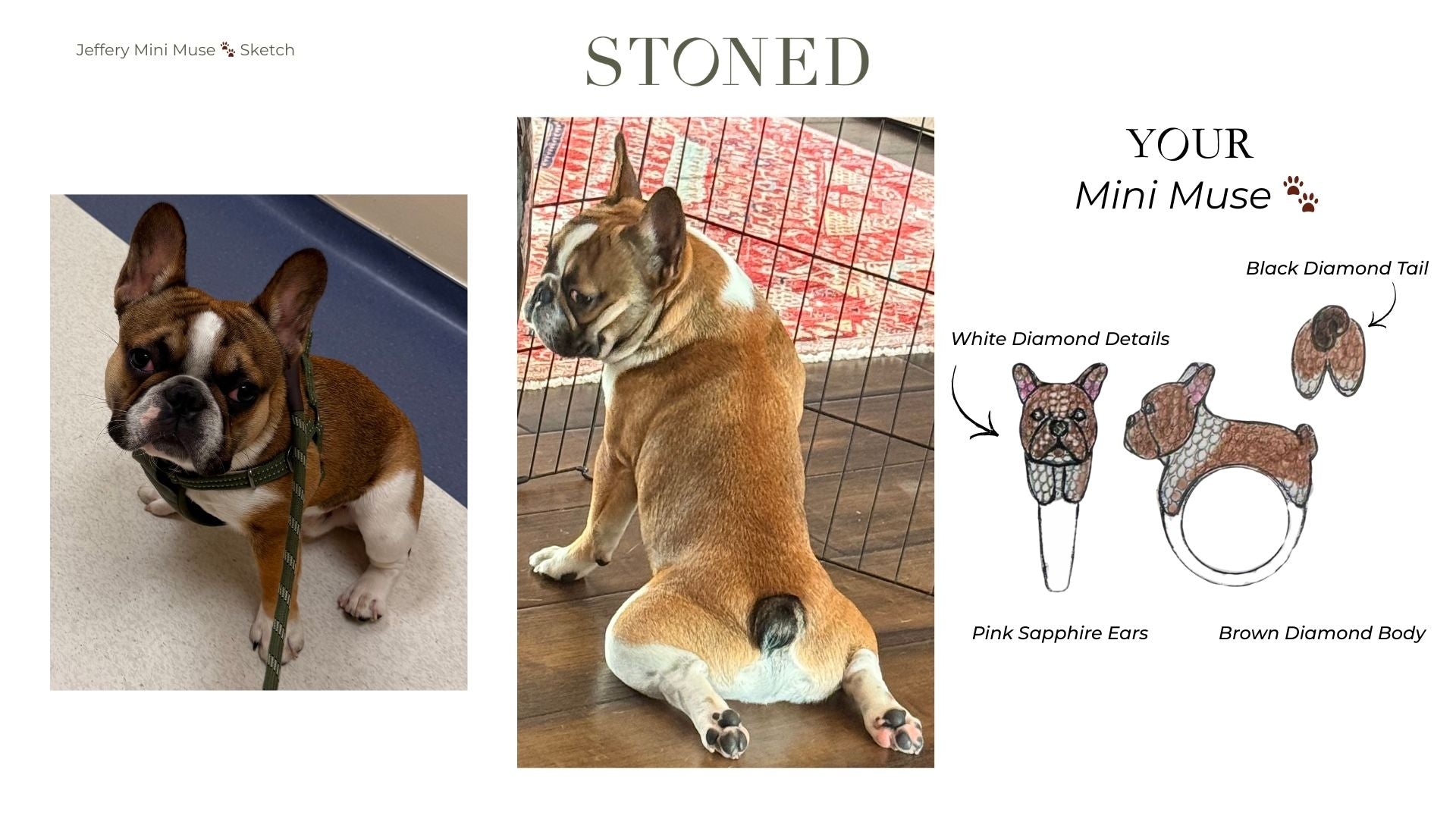 Custom Jeffery Frenchie Mini Muse
