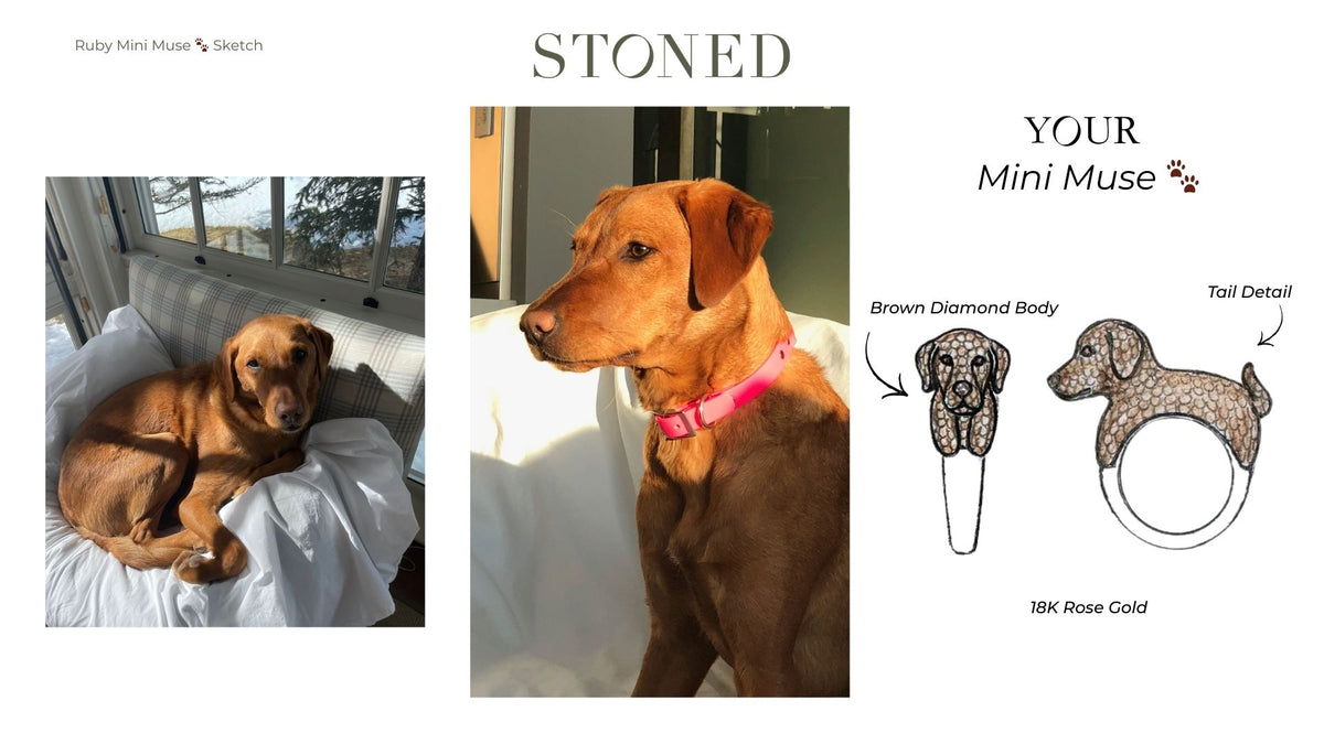 Custom Ruby Red Lab Mini Muse
