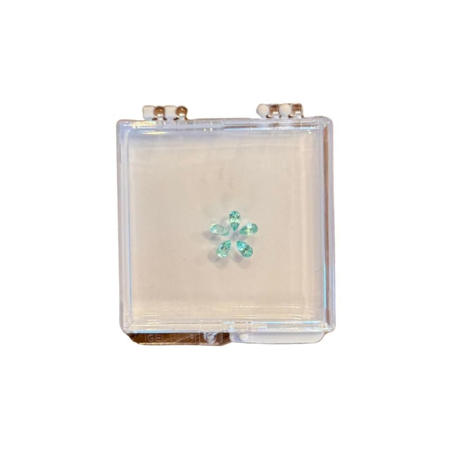 Small Forget-Me-Not Wintergreen Paraíba Necklace