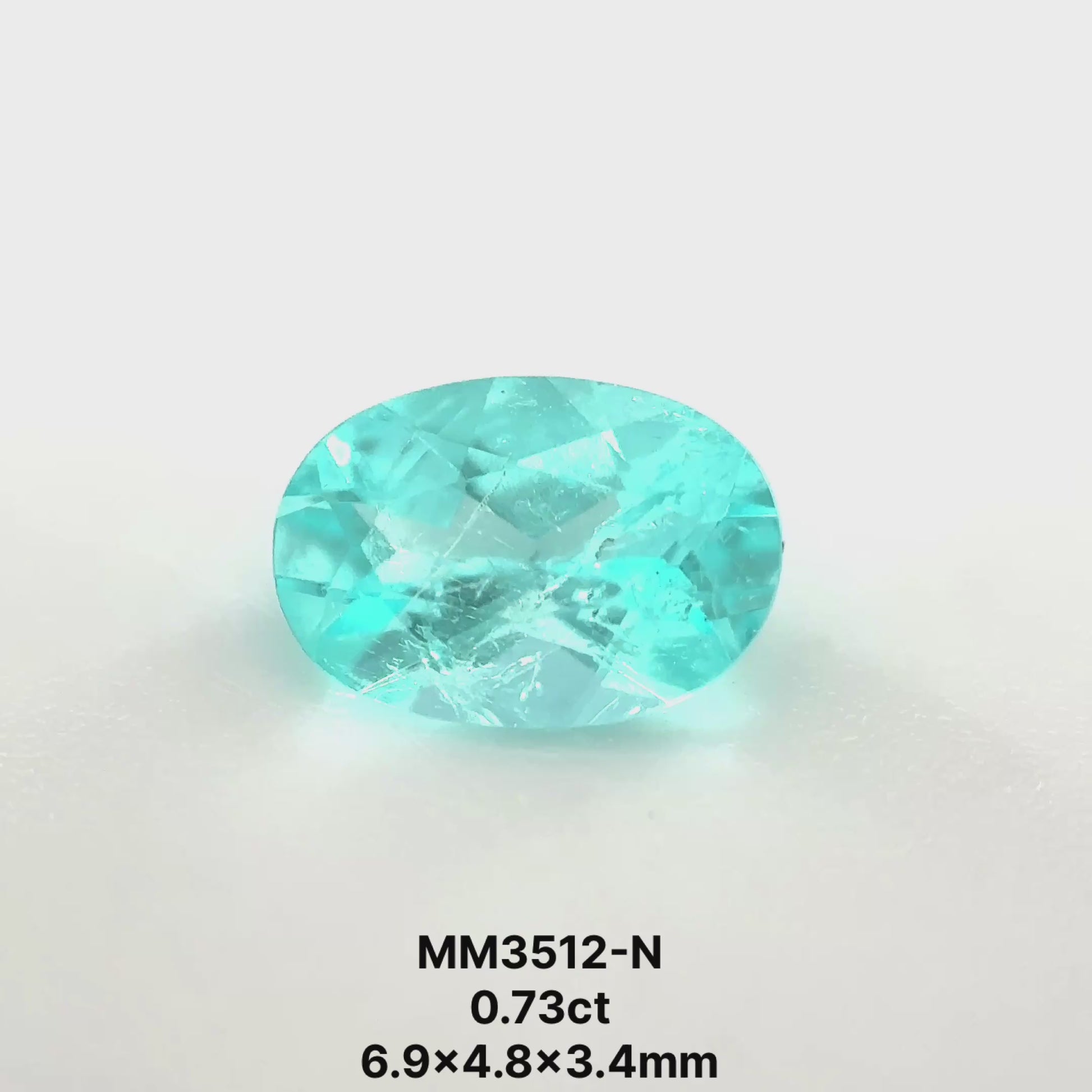 *TUCSON* Bespoke 0.73 Carat Oval Paraíba Tourmaline