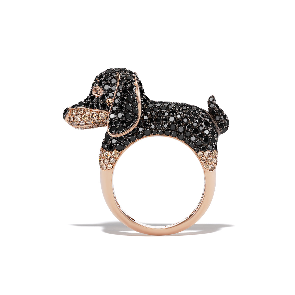 Custom Dan Dachshund Mini Muse